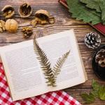 适合慢慢变富的投资书单：给不想炒短线的人看的理性阅读指南