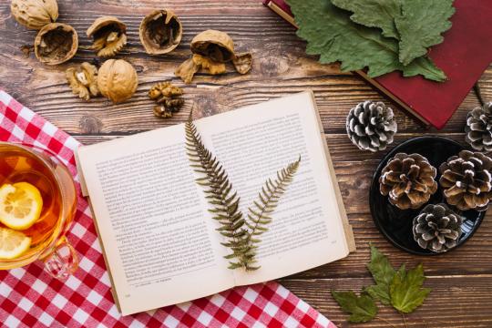 适合慢慢变富的投资书单：给不想炒短线的人看的理性阅读指南