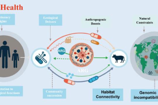 新综述：抗生素耐药性是微生物古老特征，人类活动正削弱“天然防火墙”