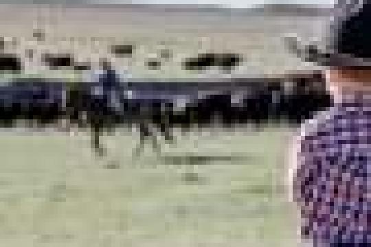 滑铁卢大学研究团队成立非营利组织OQD 推出全球首个开源全栈量子计算机