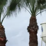 中东资金确认投资240亿美元，派拉蒙股价飙升11%助力WBD收购