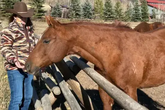 工作倦怠让我度假时无法放松，这成了我醒悟的契机