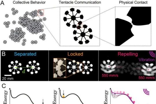 乔治亚理工打造“无电子、无电池、无大脑”机器人群体