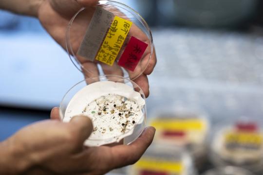 研究称广州与西安上空存在高浓度微塑料与纳米塑料云