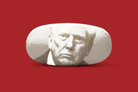 研究：特朗普涉泰诺与自闭症言论曾短暂影响孕妇用药处方