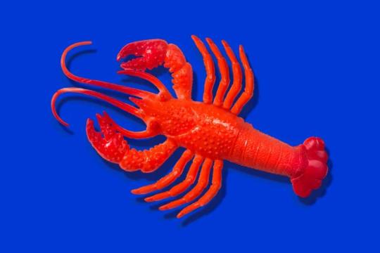 个人开源 AI 助手更名为 OpenClaw 并衍生出“AI 社交网络”