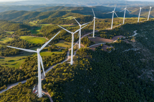 从雄心到问责：企业脱碳路径上的四大新趋势