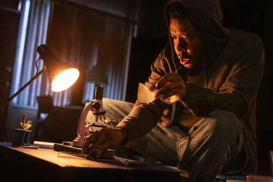 特雷西·莱茨《虫》重回百老汇：互联网前时代的阴谋论与孤独叙事