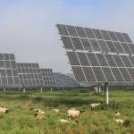 太阳能支持“落差”：为何拥护太阳能的人会否决本地项目？