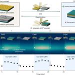 简单接触重组钙钛矿结构：新工艺显著提升太阳能电池效率与稳定性