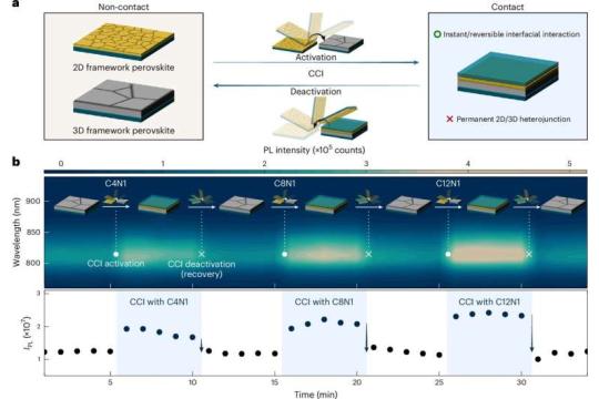 简单接触重组钙钛矿结构：新工艺显著提升太阳能电池效率与稳定性