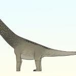 摩洛哥发现新属新种钛龙类恐龙 或与南美类群存在亲缘联系