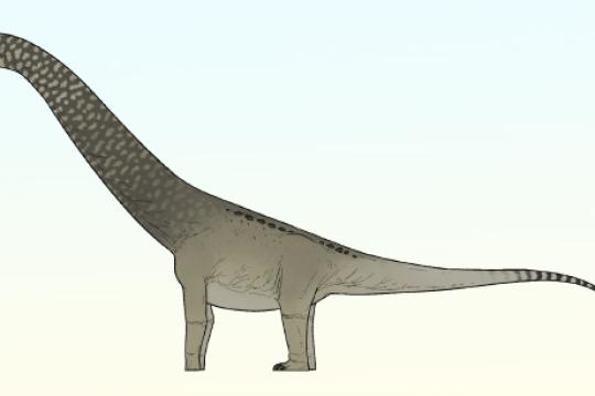 摩洛哥发现新属新种钛龙类恐龙 或与南美类群存在亲缘联系