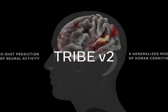 Meta 发布 AI 基础模型「TRIBE v2」：可预测人脑对多模态刺激的反应，推动“虚拟神经科学实验”