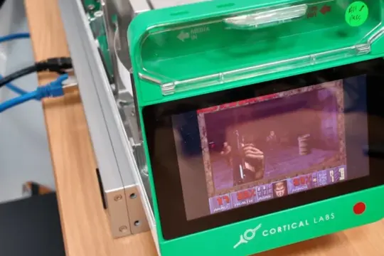 培养皿神经元玩《毁灭战士》、果蝇大脑被“上传”：两项实验引发对生物计算与脑模拟的关注