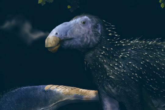 中国早白垩世发现新伊guanodontian恐龙物种 皮肤结构前所未见