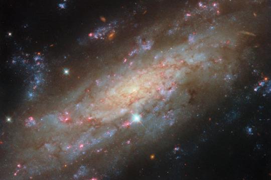 哈勃拍摄南冕座螺旋星系NGC 3137 细致呈现耀眼星团