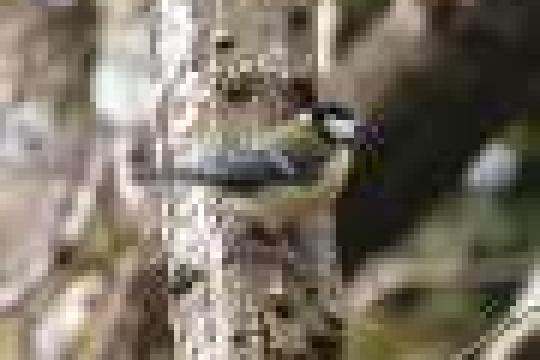 滑铁卢大学团队成立非营利组织OQD 推出全球首个开源全栈量子计算机