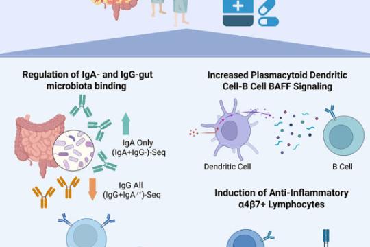 研究称维生素D或有助重塑炎症性肠病患者免疫反应