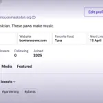 Mastodon 推出新版用户资料界面，提升去中心化社交体验易用性