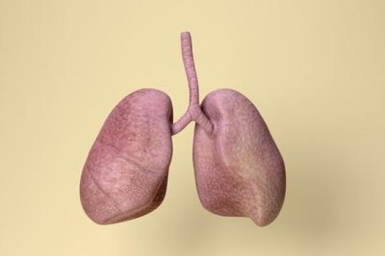 非吸烟者肺癌发病率上升，科学家正寻找原因