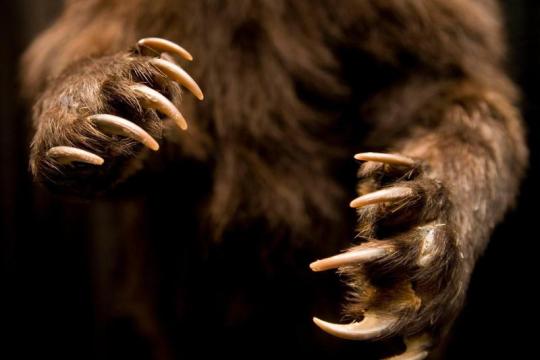 比特币回落至67,000美元下方，周三涨幅大幅回吐