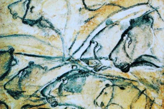 研究称晚更新世日本列岛栖息的是洞狮而非老虎