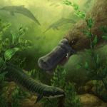 南澳晚渐新世带牙鸭嘴兽化石揭示古老淡水生态系统