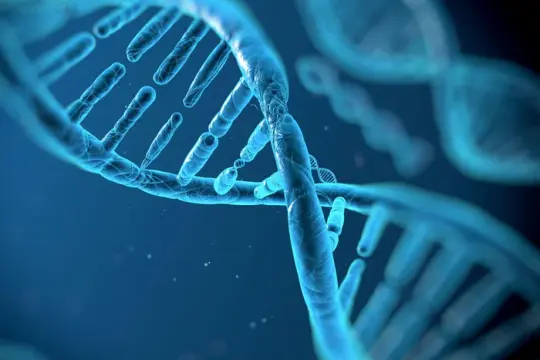 谷歌DeepMind发布AlphaGenome，称可辅助识别疾病遗传驱动因素