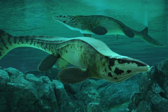 古生物学家命名巨型新蛇颈龙物种“霸王龙” 体长可达13.2米