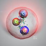 CERN LHCb实验首次确认新型双粲重子Ξcc⁺