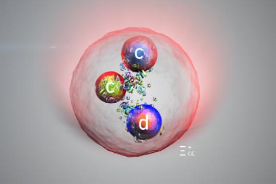 CERN LHCb实验首次确认新型双粲重子Ξcc⁺