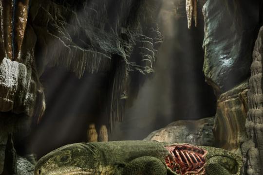 二叠纪早期爬行动物化石揭示最早肋骨驱动呼吸证据