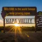 消费偏好转向与销量下滑叠加：纳帕谷酒庄在低迷中调整策略
