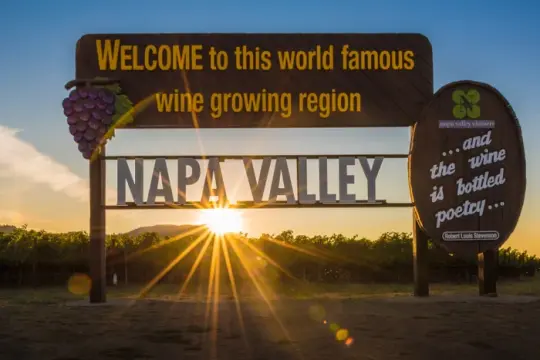 消费偏好转向与销量下滑叠加：纳帕谷酒庄在低迷中调整策略
