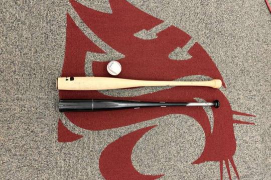 实验室测试：洋基队鱼雷球棒与传统球棒击球威力几乎相同