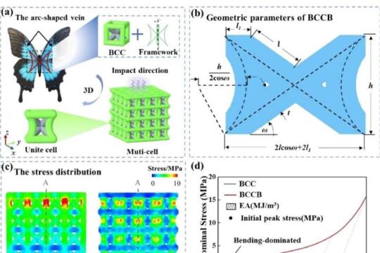 仿生蝴蝶晶格结构显著增强抗冲击与能量吸收性能