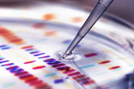 调查显示科学会议幽默尝试成功率不高