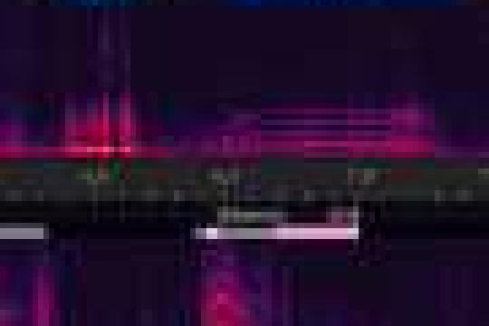 研究：普克科鸟可将声音元素组合成复杂鸣叫序列扩展交流方式