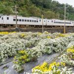 数字交通应用背后的技术、资金与政策博弈