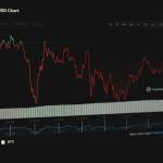 比特币相关收入增长推动Metaplanet上调全年收入预期