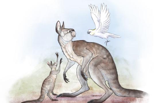 研究称更新世巨型袋鼠具备承受跳跃应力的后肢结构