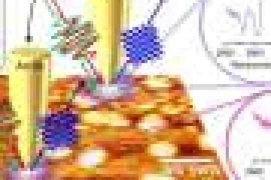 滑铁卢大学团队成立非营利组织OQD 推出开源全栈离子阱量子计算机