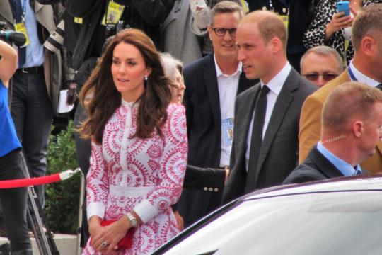 威廉王子与凯特在多处皇室住所安装洗衣机微塑料过滤装置