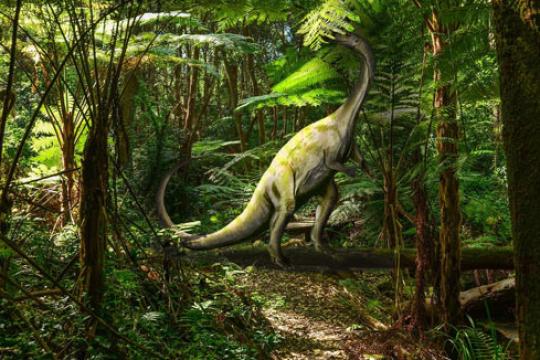 巴西晚三叠纪发现微小基干蜥脚形类恐龙化石 或反映早期生长策略