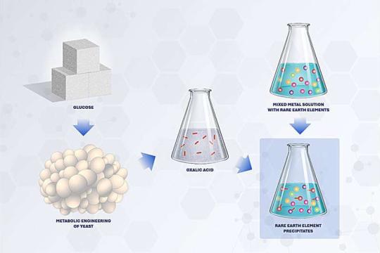 工程酵母助力美国打造绿色稀土开采新路径
