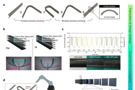 无需电机的机器人手：KAIST实现亚秒级变形智能驱动器