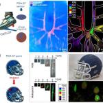 受击即显色：新型涂料可直观记录撞击位置与强度