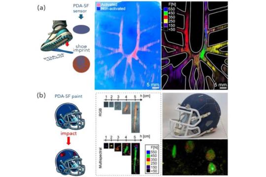 受击即显色：新型涂料可直观记录撞击位置与强度