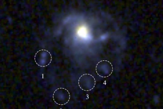 韦伯望远镜锁定迄今最遥远水母星系 距今约85亿年